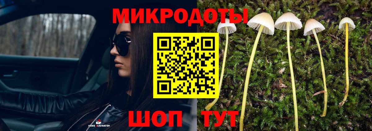 Галлюциногенные грибы GOLDEN TEACHER  Вход с VPN  Нурлат 