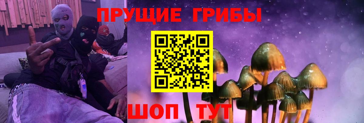 Псилоцибиновые грибы мицелий Нурлат